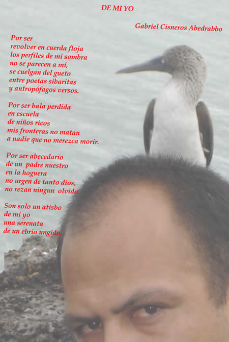 De mi yo