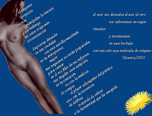 Diapositiva